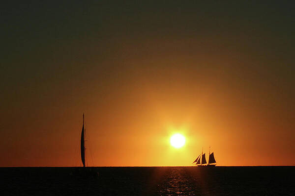 Photograph - Sailing Into The Sunset by Rob Narwid
