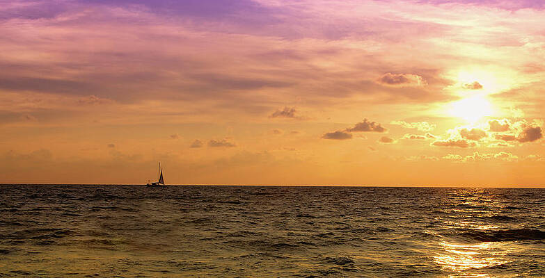 Florida Wall Art featuring the photograph Sailing On The Sunset by Alberto Audisio