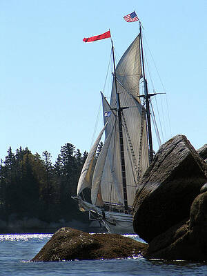 Maine Photograph - Sailing Round by Steven David Roberts