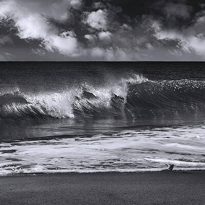 Moody Wall Art featuring the photograph Salt Life Morning 2 by Laura Fasulo