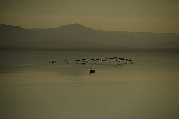 Photograph - Salton Sea by Matt Halvorson