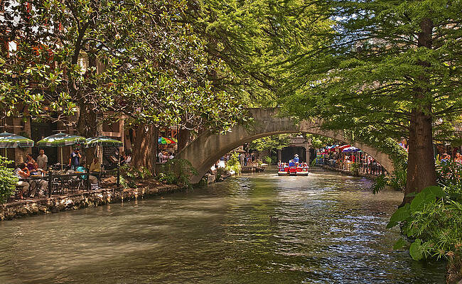 Scenic Riverwalk Bridge in Summer Photograph