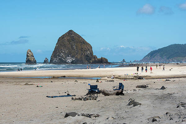 Beach Photograph - Sand Diggers And Dog Walkers by Tom Cochran