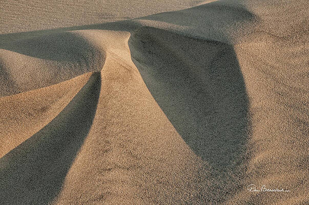 Abstract Photograph - Sands Of Jockey's Ridge 1389 by Dan Beauvais