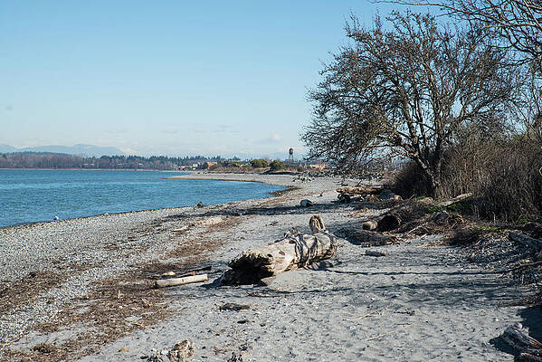 Beach Photograph - Sandy Beach At Semiahmoo by Tom Cochran