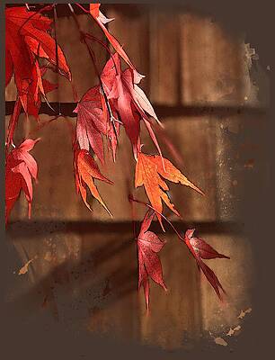 Wall Art featuring the digital art Scarlet Cascade by Gina Harrison