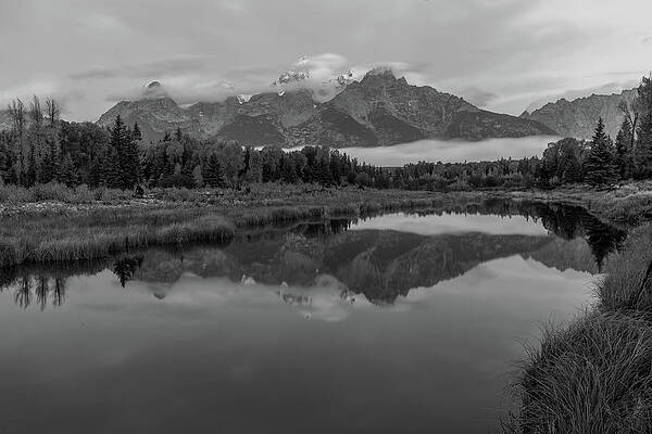 Wyoming Wall Art featuring the photograph Schwabacher Sunrise - Black And White by Jeff Stoddart