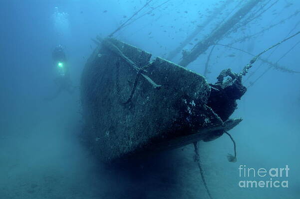 Underwater Shipwreck Exploration Photograph