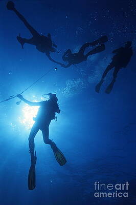 Scuba Divers in Deep Blue Water Wall Art