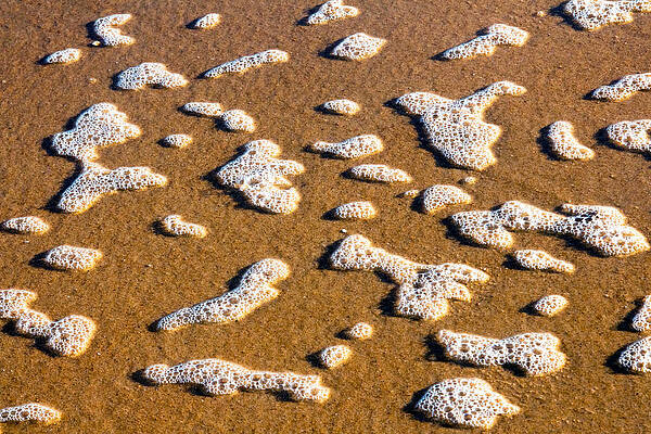 Beach Photograph - Sea Foam by Nicholas Blackwell