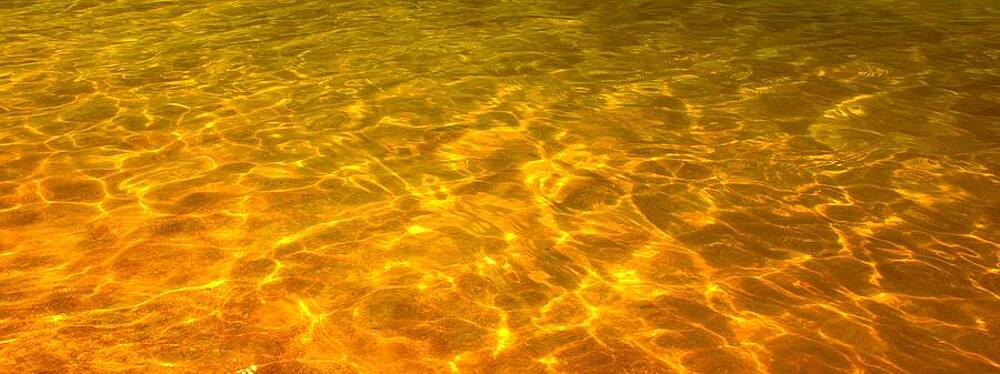 Sea of Gold by Steven Robiner