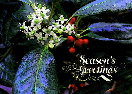 Blossom Digital Art - Season's Greetings by Gina Harrison
