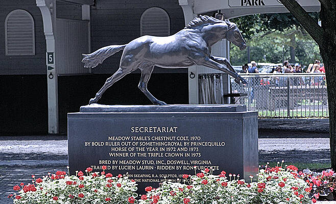 Card Wall Art featuring the photograph Secretariat by Robert Newman