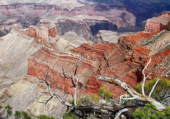 Desert Photograph - Sedimentary Red by Nicholas Blackwell
