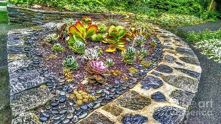 Wall Art featuring the photograph Sensory Garden At Laurelwood Arboretum by Christopher Lotito