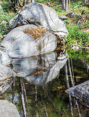 Photograph - Serene Reflections by Ed Clark