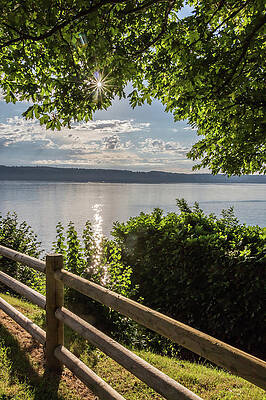 Photograph - Serenity by Ed Clark