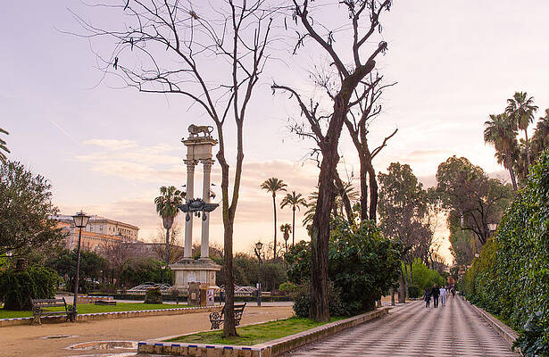 Scenic Wall Art featuring the photograph Seville At Sunset - Murillo Gardens by AM FineArtPrints
