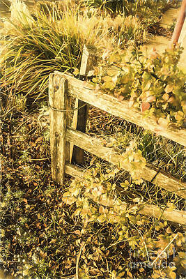 Country Painting - Shabby Garden Details by Jorgo Photography