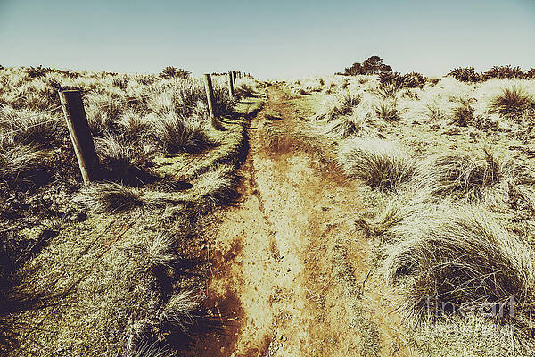 Rustic Photograph - Shabby Outback Path by Jorgo Photography