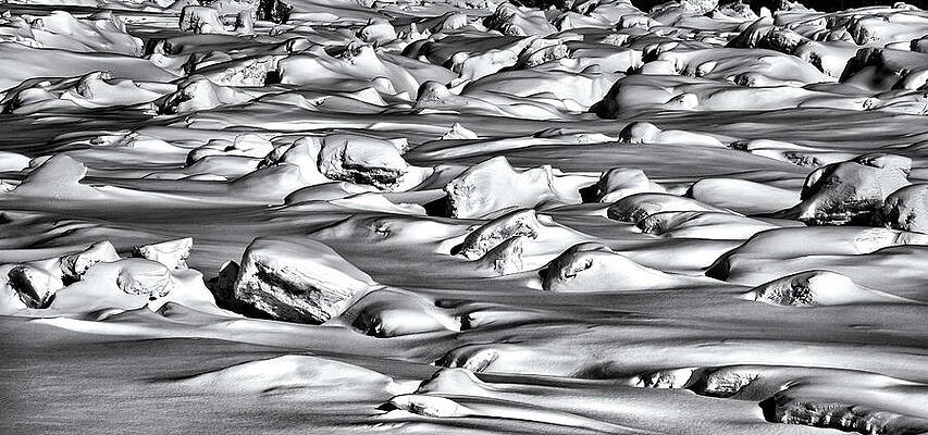 Wall Art featuring the photograph Shades Of Grey by Alberto Audisio