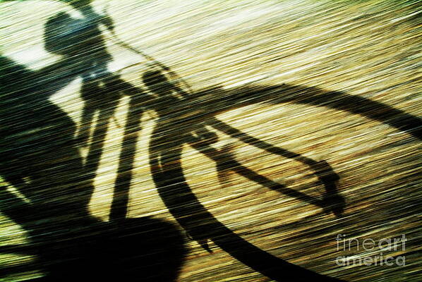 Shadow of a Cyclist Wall Art