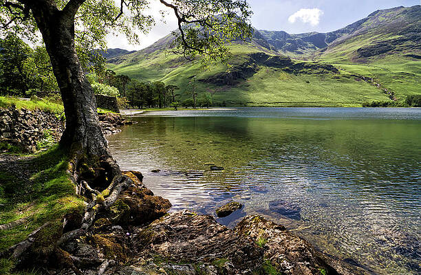 Sky Wall Art featuring the photograph Shady Rest At Buttermere by Shirley Mitchell