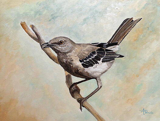 Perched Mockingbird on a Branch Wall Art