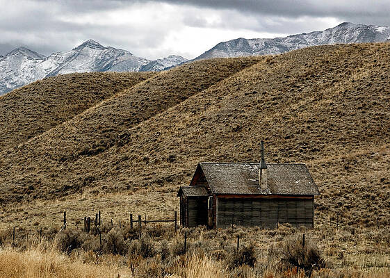 Country Wall Art featuring the photograph Shelter by Nicholas Blackwell