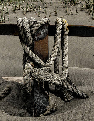 Wall Art featuring the photograph Shipwecked Rope by Fred Denner