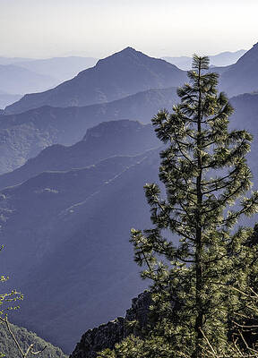 Nature Wall Art featuring the photograph Sierra Nevada Foothills by Steven Sparks