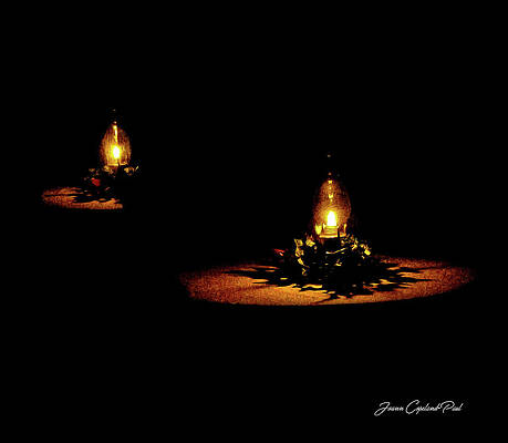 Wall Art featuring the photograph Silent Night by Joann Copeland-Paul