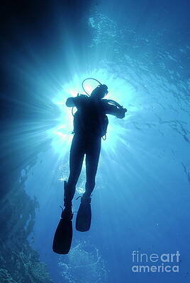France Photograph - Silhouette Of Scuba Diver Rising To Surface In Sea by Sami Sarkis Photography
