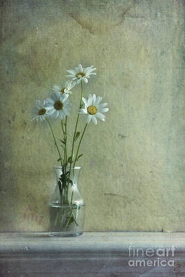 Elegant Daisies in Glass Vase Wall Art