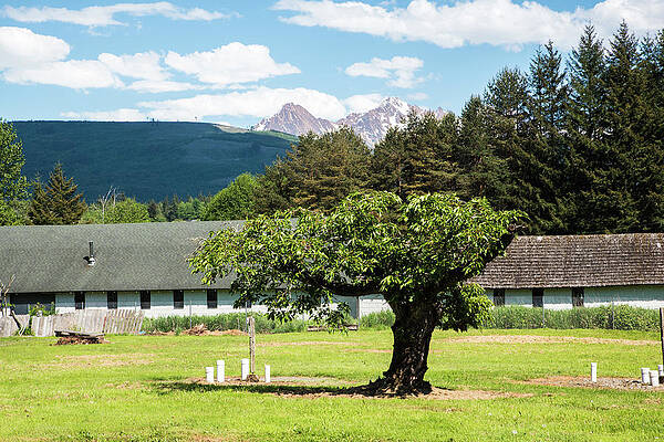 May Photograph - Sisters In May by Tom Cochran