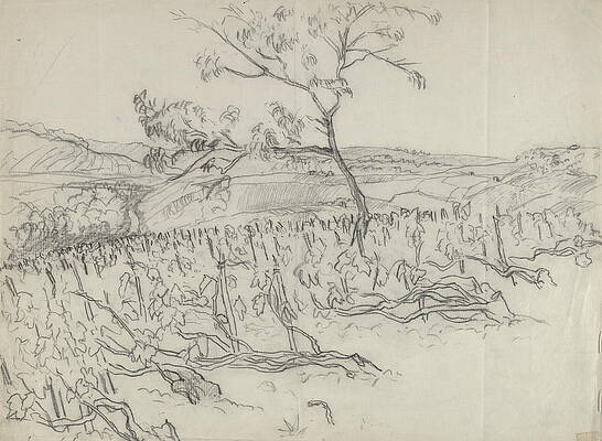 Wall Art featuring the digital art Sketch Of Vineyard by Carl Oscar August Erickson