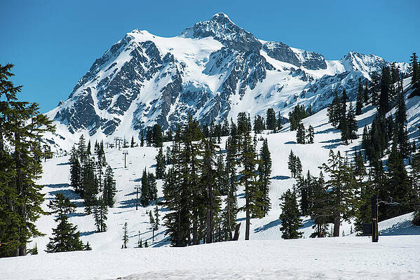 Spring Photograph - Mt Baker Ski Area by Tom Cochran