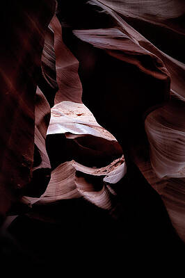 Rocky Photograph - Skull by Nicholas Blackwell
