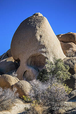Wilderness Wall Art featuring the photograph Skull Rock #1 Joshua Tree by Blake Webster
