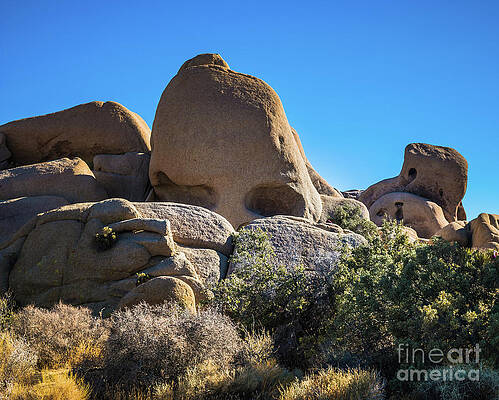Wilderness Wall Art featuring the photograph Skull Rock #2 Joshua Tree by Blake Webster