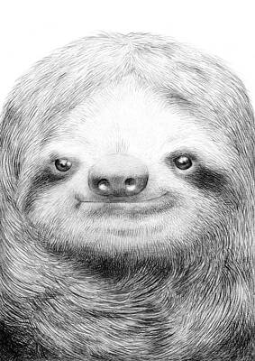Content Smiling Sloth Wall Art