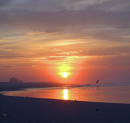 Wall Art featuring the photograph Smith Point by Robert Newman