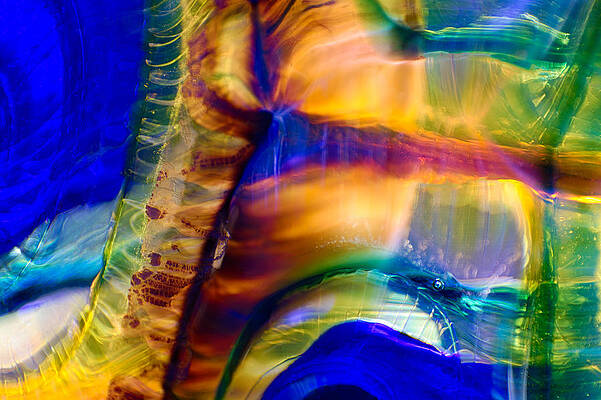 Wall Art featuring the photograph Snakeskin Goddess by Omaste Witkowski