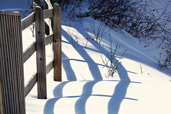 Winter Wall Art featuring the photograph Snow, Sun And Shadows by Tatiana Travelways