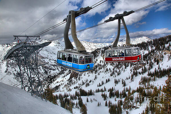 Ski Gondolas in Snowy Mountains Wall Art