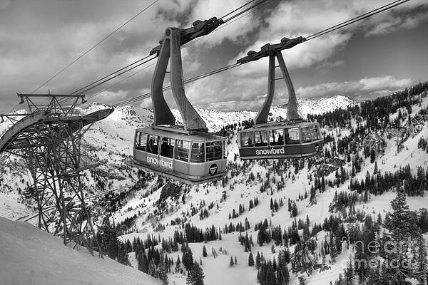 Mountain Wall Art featuring the photograph Snowbird Hidden Peak Trams Black And White by Adam Jewell