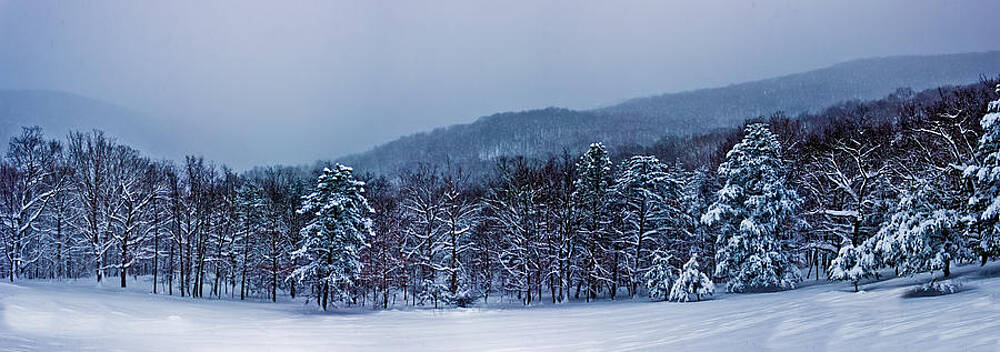 Tree Wall Art featuring the photograph Snowy Forest And Mountains by Jonny D