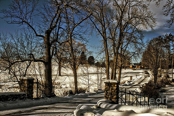 Tree Wall Art featuring the photograph Snowy Gates by Onedayoneimage Photography