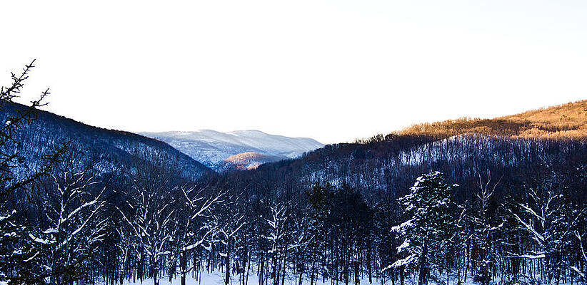 Tree Wall Art featuring the photograph Snowy Mountain Sunrise by Jonny D