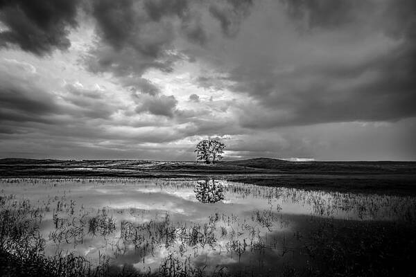 Wall Art featuring the photograph Somewhere In Between by Adam Mateo Fierro